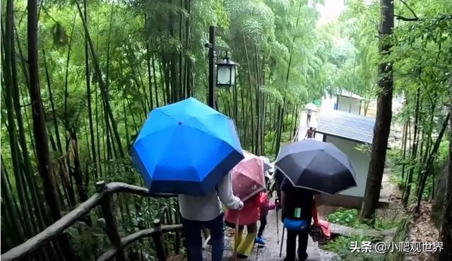 下雨天去黄山好玩吗 黄山6月下雨还有必要去吗 