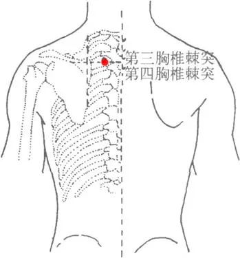肺俞穴_肺俞穴_肺俞穴