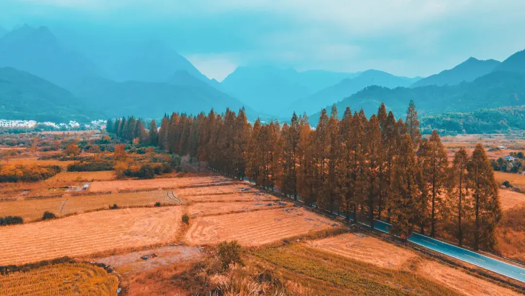 黄山旅游攻略_黄山_黄山黄山的诗句