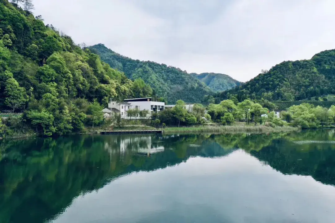 黄山黄山的诗句_黄山_黄山旅游攻略