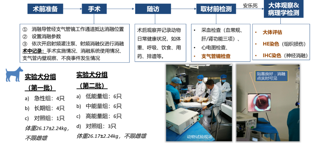 神经阻断术有什么副作用_神经阻断术类的手术_神经阻断术