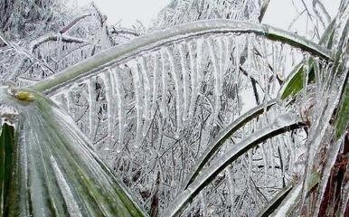 如果郑州大暴雨变成冬天的大暴雪会是什么样子，如何应对 大暴雪将袭山河四省