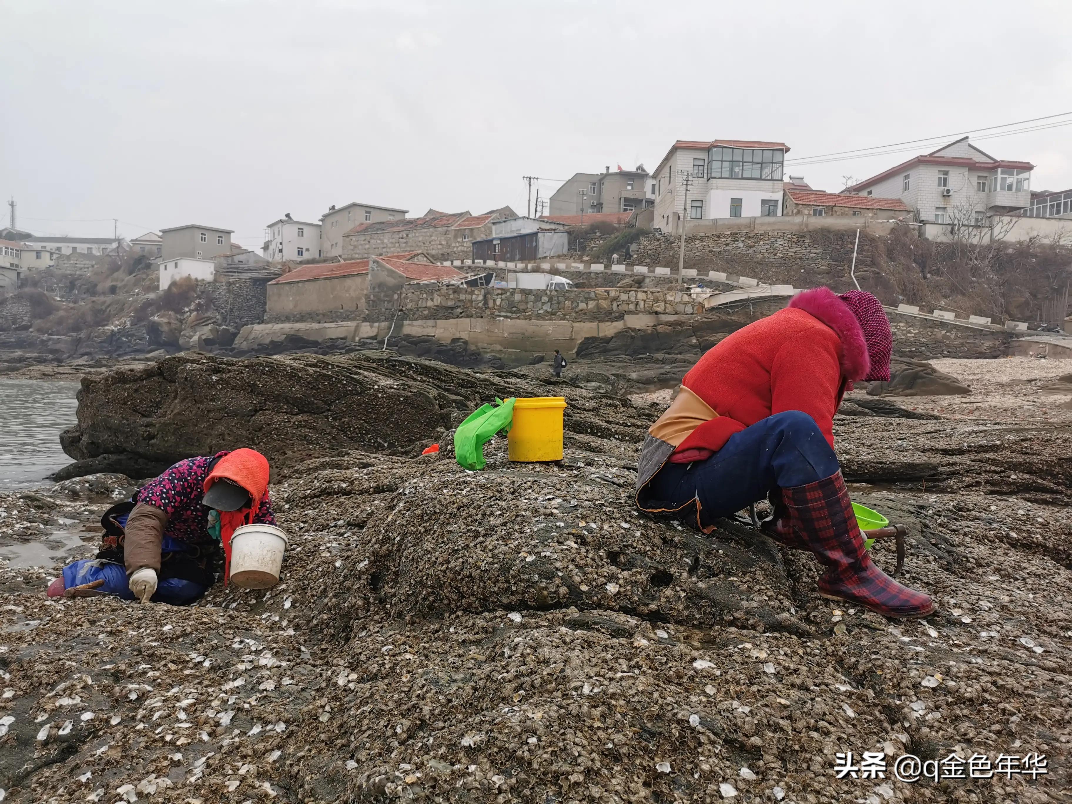 周边游景点大全 自驾车旅游 你是坐车出去旅游，还是开车出去旅游？为什么