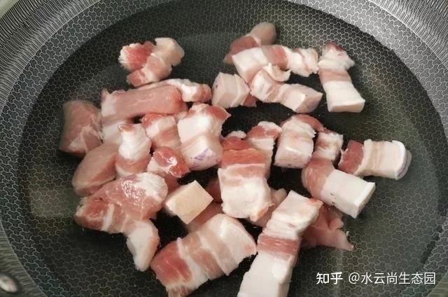 红烧肉用哪个部位的肉最好_红烧肉用什么肉做最好吃_红烧肉