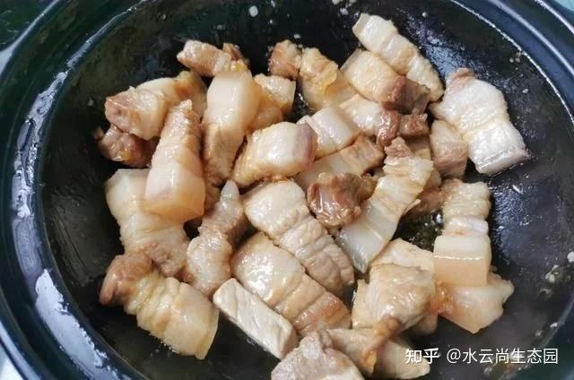 红烧肉_红烧肉用什么肉做最好吃_红烧肉用哪个部位的肉最好