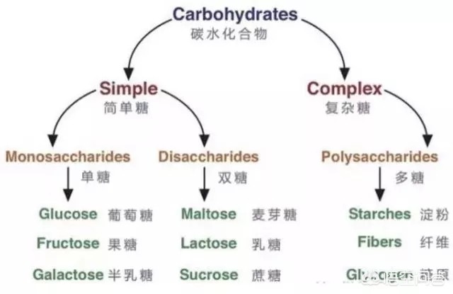 碳水食物是指哪些食物 碳水是指什么，为什么有些人要戒或者不吃碳水物的食品