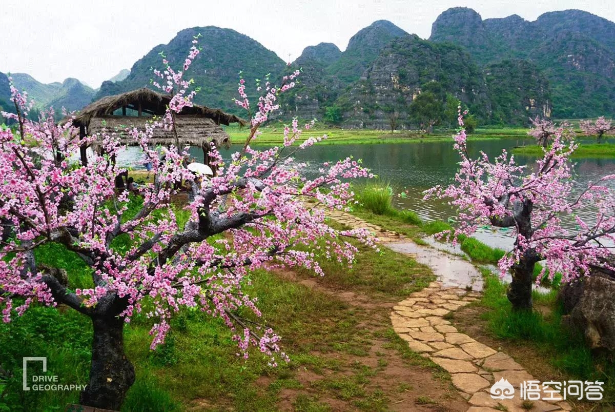 普者黑旅游攻略必去景点 普者黑旅游攻略