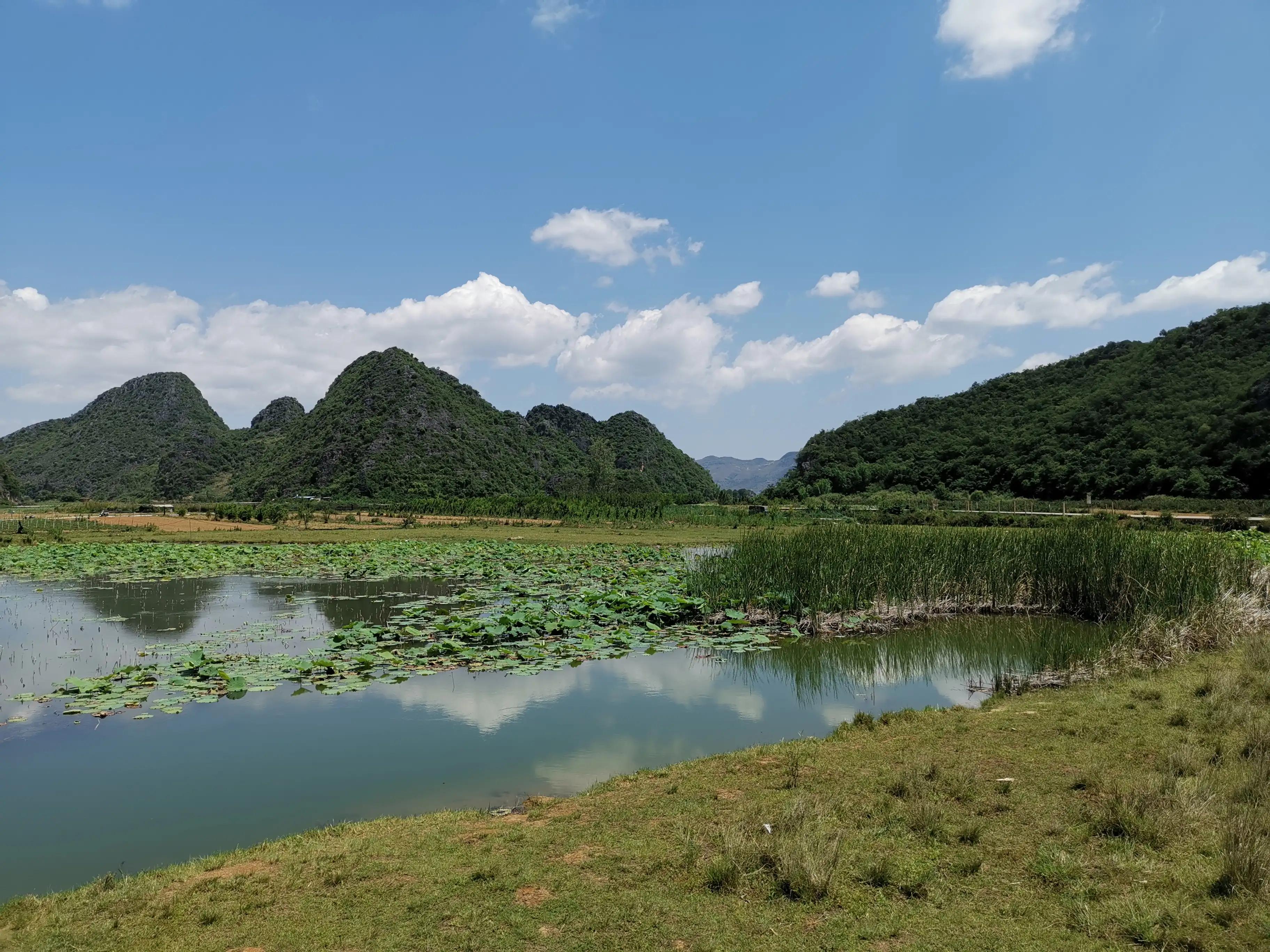 普者黑旅游攻略必去景点 普者黑旅游攻略