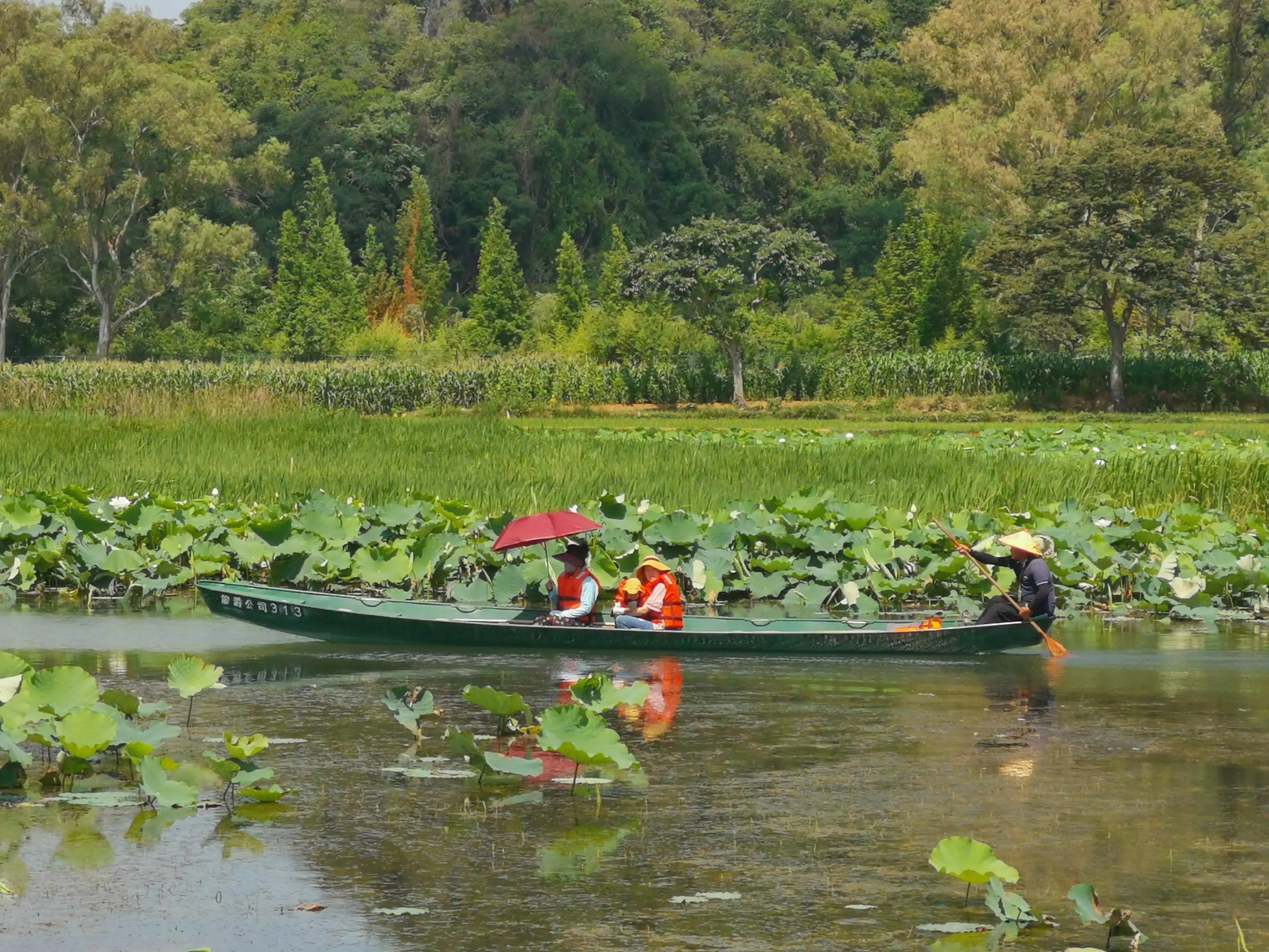 普者黑旅游攻略必去景点 普者黑旅游攻略