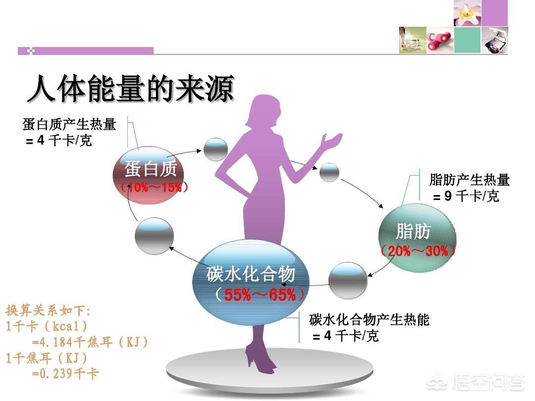 蛋白质减肥法的正确吃法 肥胖减脂是否需要补充蛋白质