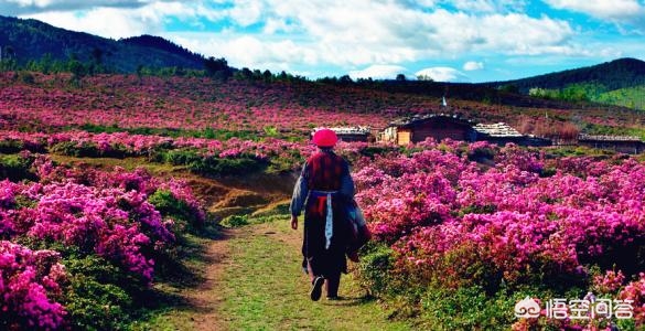 北京到云南旅游团报价 北京出发自驾去云南，40天，应该如何安排行程？几月份出发最好