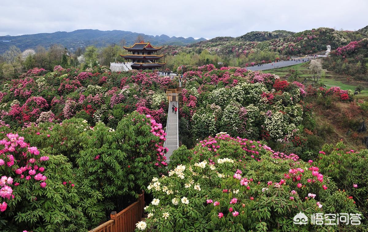春季旅游最佳去处国内 这个季节那个地方适合旅游