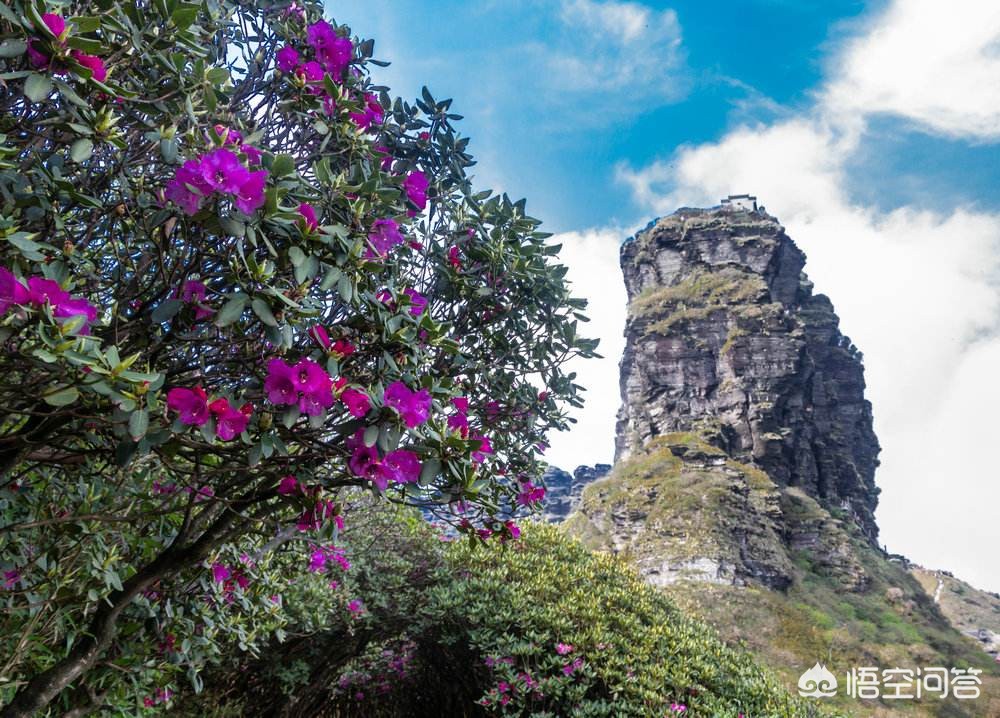 春季旅游最佳去处国内 这个季节那个地方适合旅游