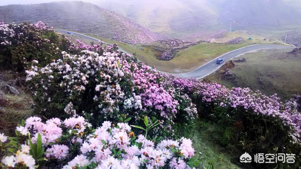 春季旅游最佳去处国内 这个季节那个地方适合旅游