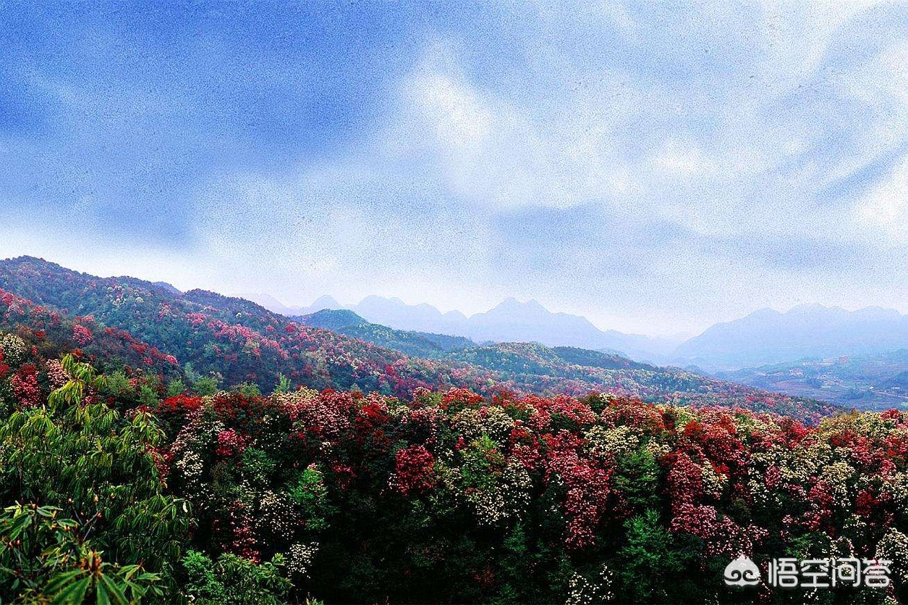 春季旅游最佳去处国内 这个季节那个地方适合旅游