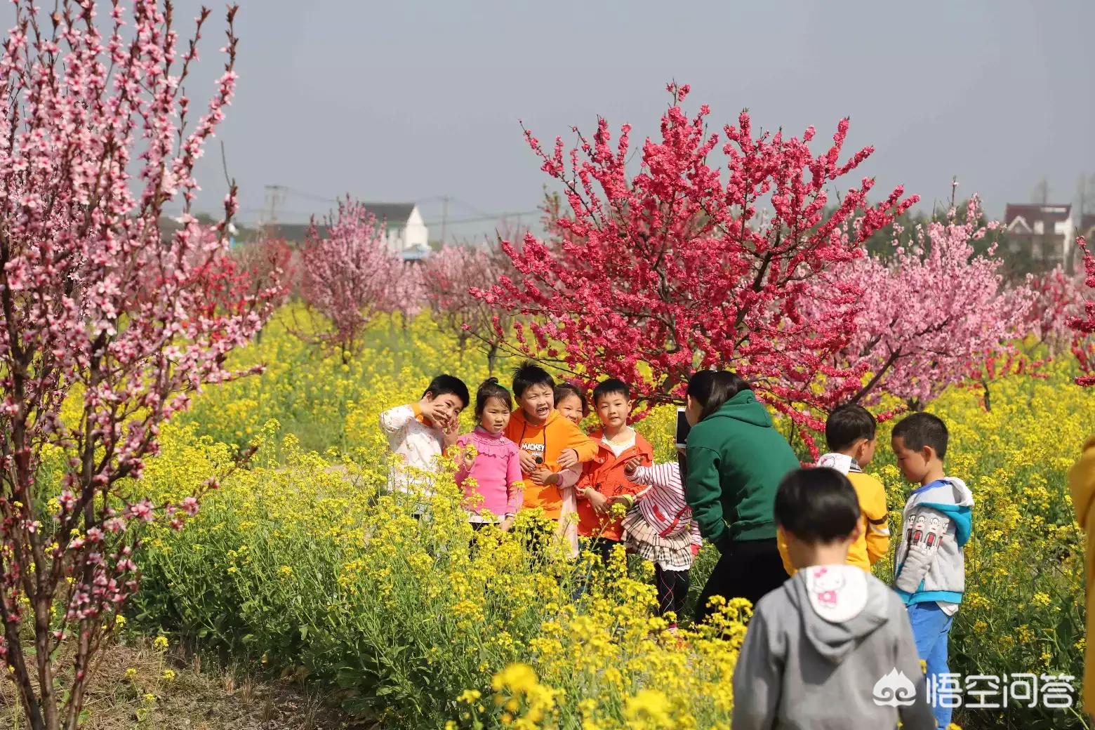 春季旅游最佳去处国内 这个季节那个地方适合旅游