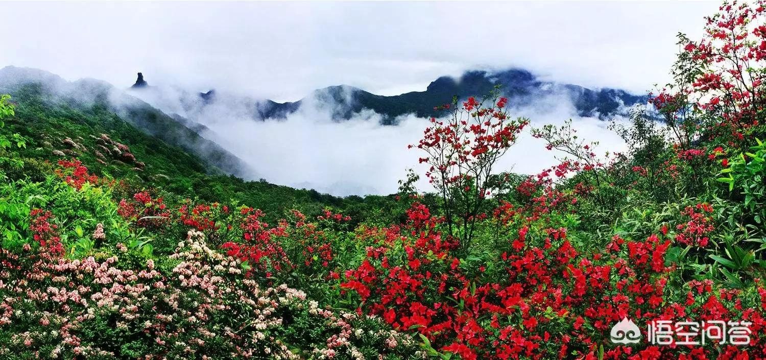 春季旅游最佳去处国内 这个季节那个地方适合旅游