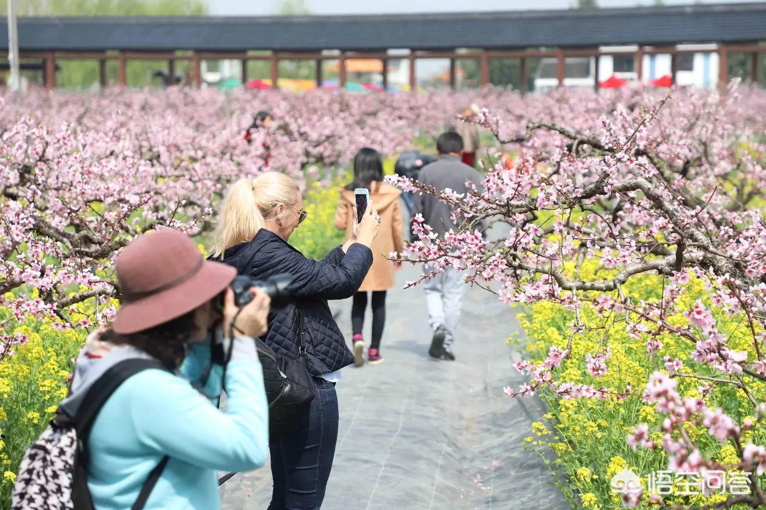 春季旅游最佳去处国内 这个季节那个地方适合旅游