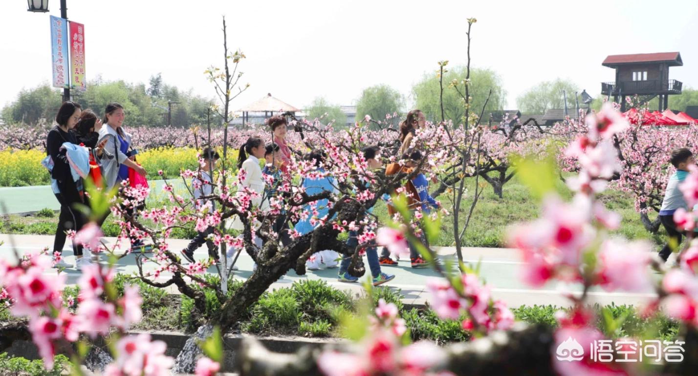 春季旅游最佳去处国内 这个季节那个地方适合旅游