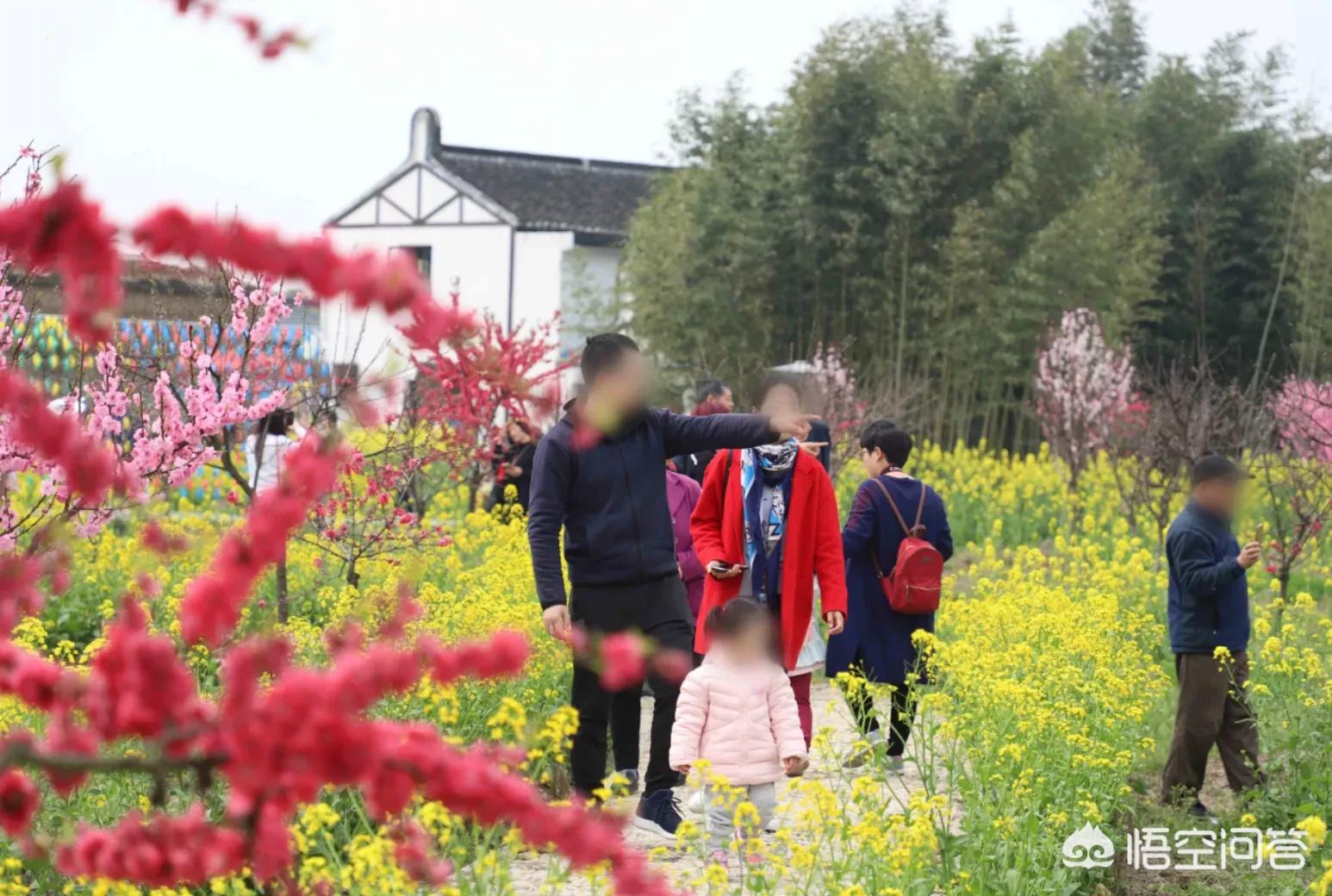 春季旅游最佳去处国内 这个季节那个地方适合旅游