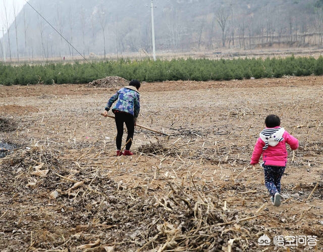 睡前小故事哄女朋友 在农村里，晚上空闲的时间较多，做些什么副业可以增加收入呢