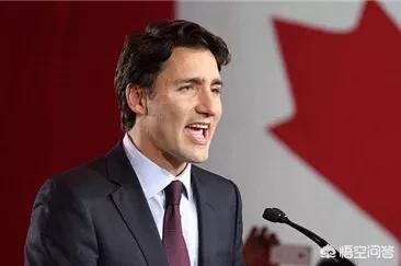 特鲁多是谁？皮埃尔 被指18年前“不当触摸”女记者，加拿大总理特鲁多没有错为什么道歉