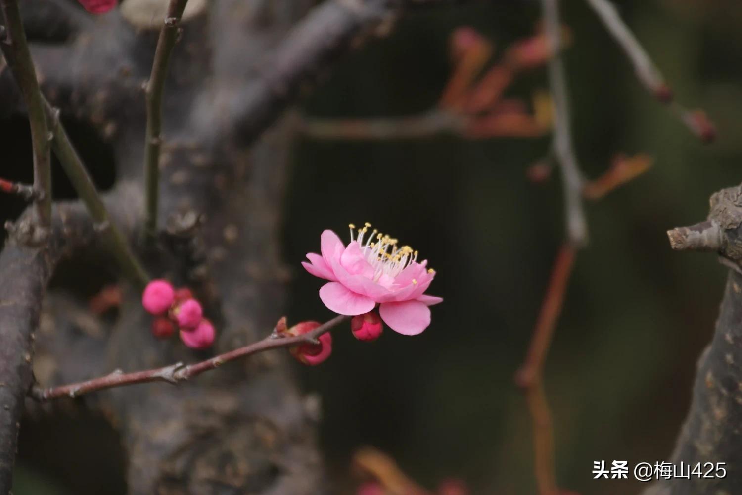 有哪些很短一句话写到心里的句子？比如"你能不能偶尔也珍惜一下我" 李姓想取个单字的名字怎么取好听特别