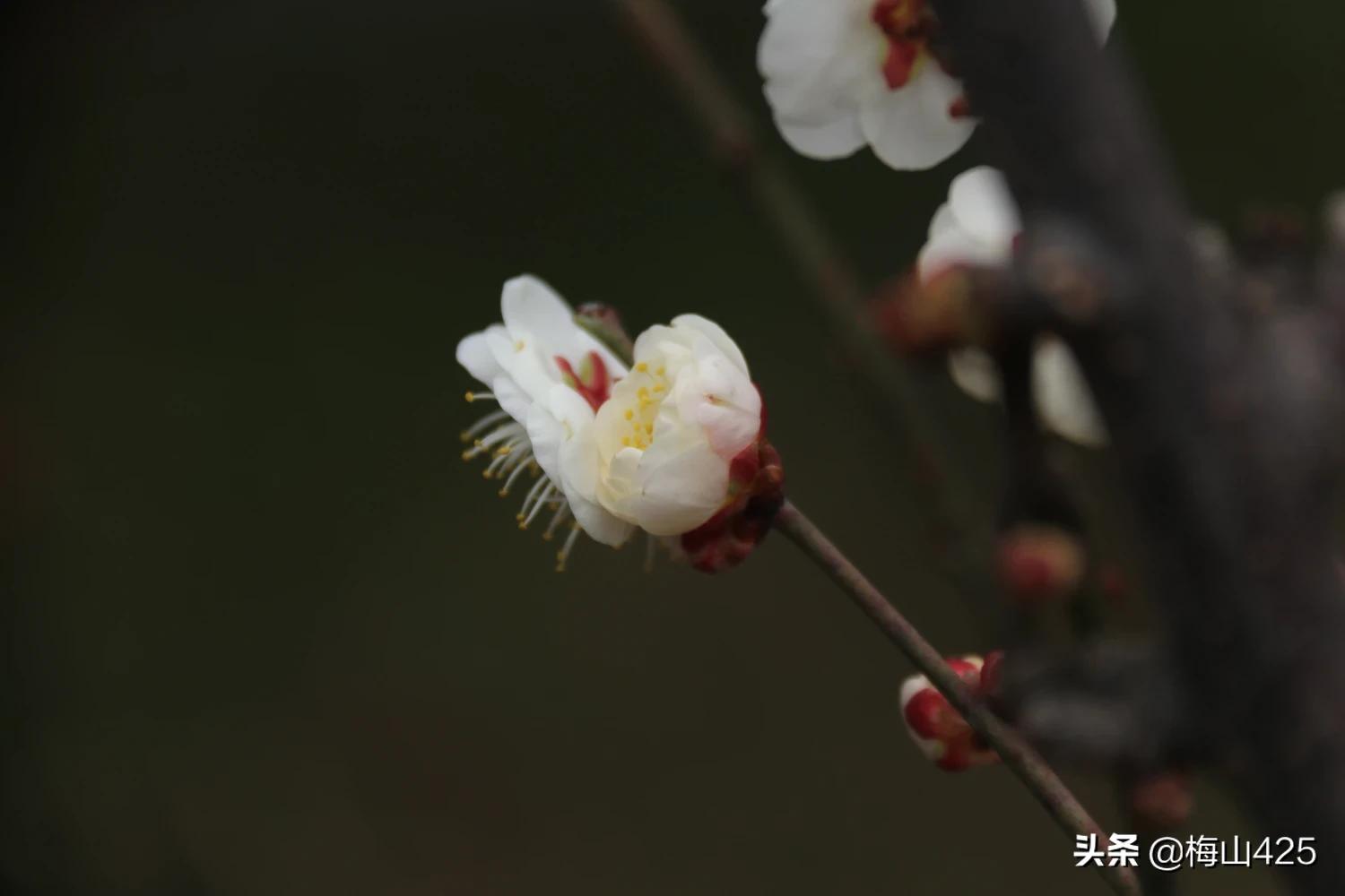 有哪些很短一句话写到心里的句子？比如"你能不能偶尔也珍惜一下我" 李姓想取个单字的名字怎么取好听特别