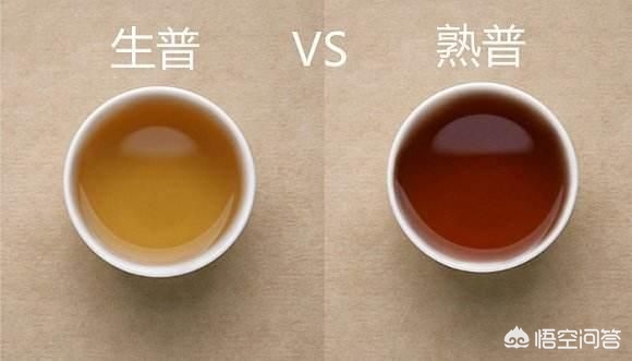 长期喝普洱茶好吗 普洱茶是属于什么茶