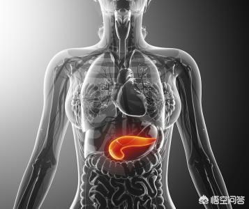 胰腺癌发<strong>病人</strong>群呈低龄化趋势 胰腺在人体的什么位置？