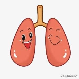 益肺止咳胶囊 益肺胶囊具有治疗肺心病的功效吗？