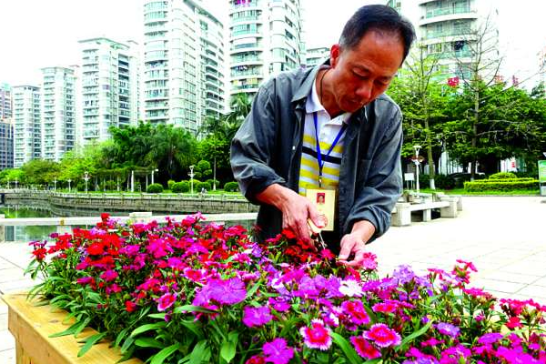 园林工程师证怎么考 园林景观工程师有哪些证书可考?