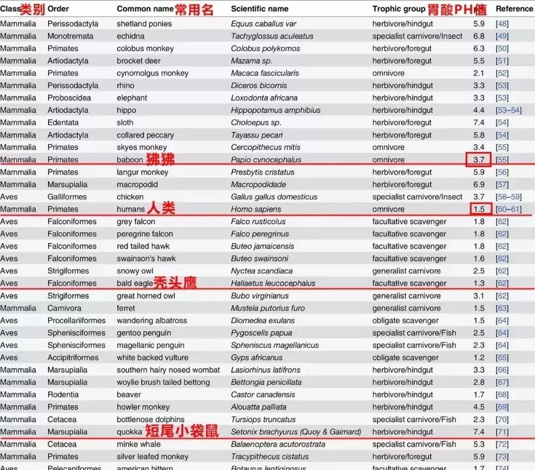 益生碱_碱益生可以调理碱性体质吗_碱益生的功效作用