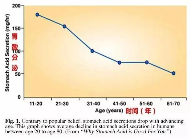 碱益生的功效作用_碱益生可以调理碱性体质吗_益生碱