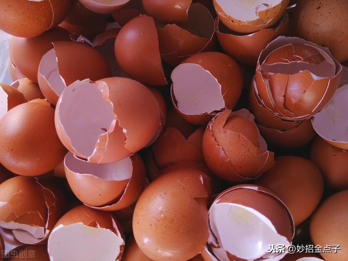 鸡蛋清发绿还能吃吗_鸡蛋清_鸡蛋清敷脸的作用与功效