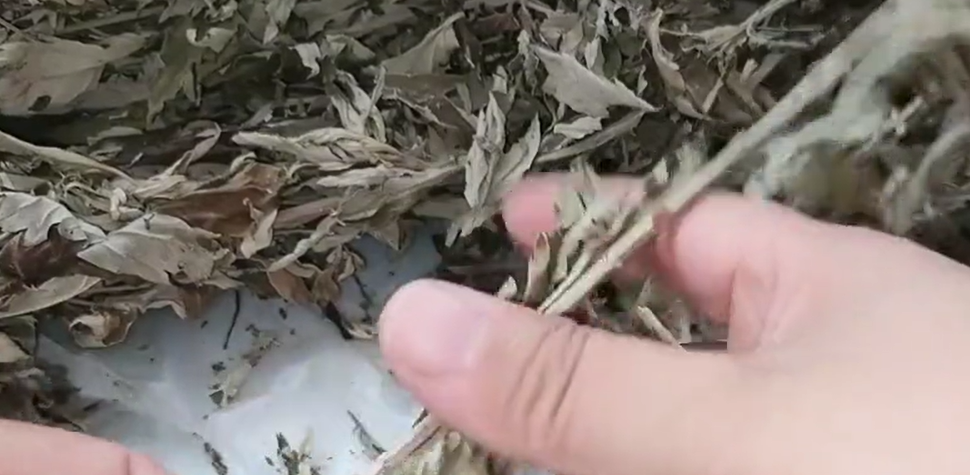 奶粉罐_奶粉罐里的铝箔能卖钱吗_奶粉罐废物利用工艺品