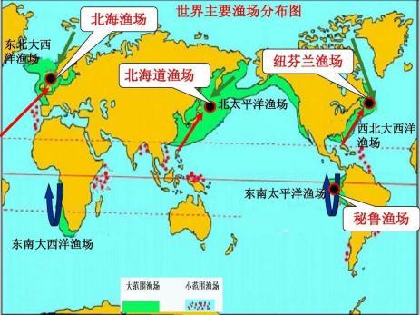 吃鱼油对身体有什么好处和坏处_鱼油怎么吃_吃鱼油的副作用和危害