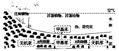 鱼油怎么吃_吃鱼油的副作用和危害_吃鱼油软胶囊有什么好处和坏处