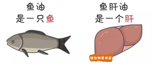 鱼油怎么吃_吃鱼油有什么好处和功效_吃鱼油软胶囊有什么好处和坏处