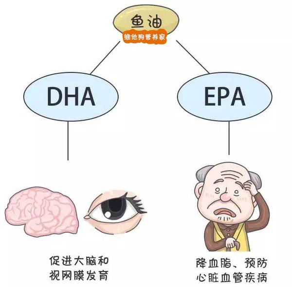 鱼油怎么吃_吃鱼油软胶囊有什么好处和坏处_吃鱼油有什么好处和功效