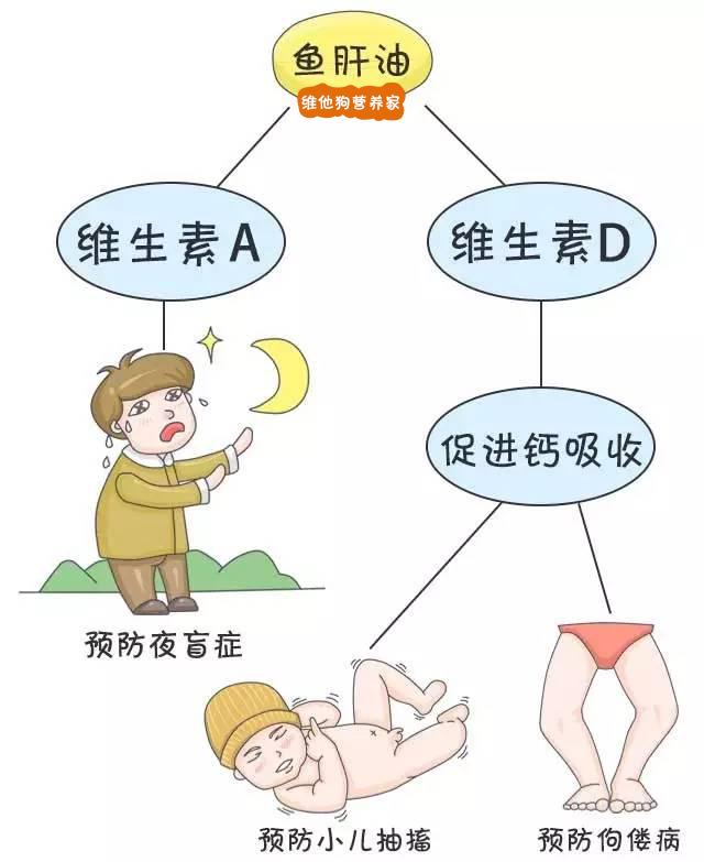 吃鱼油软胶囊有什么好处和坏处_鱼油怎么吃_吃鱼油有什么好处和功效