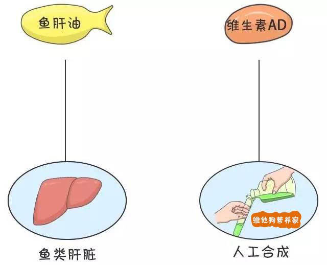 吃鱼油软胶囊有什么好处和坏处_吃鱼油有什么好处和功效_鱼油怎么吃