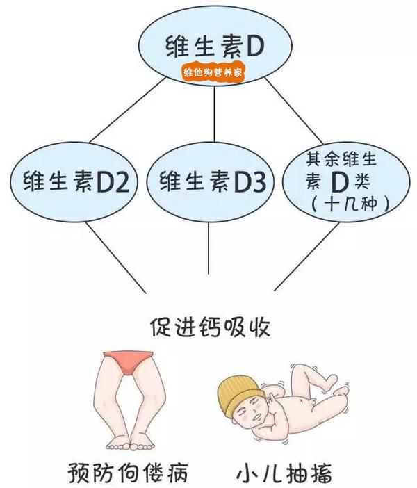 吃鱼油有什么好处和功效_鱼油怎么吃_吃鱼油软胶囊有什么好处和坏处