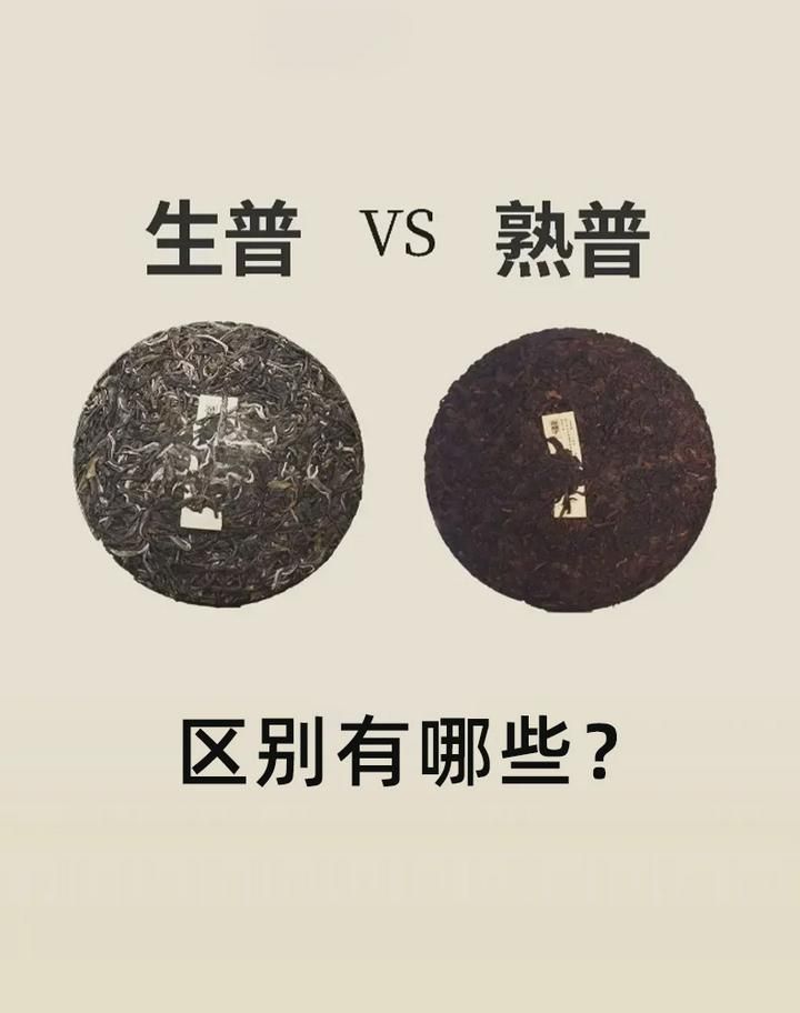 熟普洱的功效与作用 生普和熟普的区别?_熟普洱