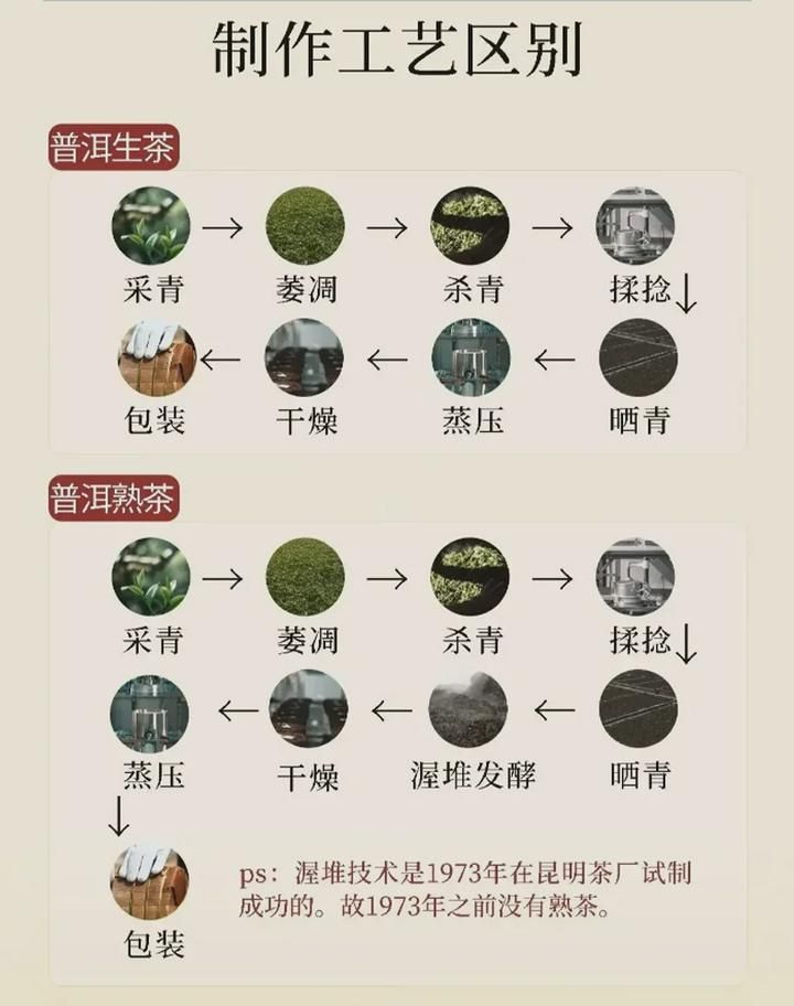 熟普洱的功效与作用 生普和熟普的区别?_熟普洱