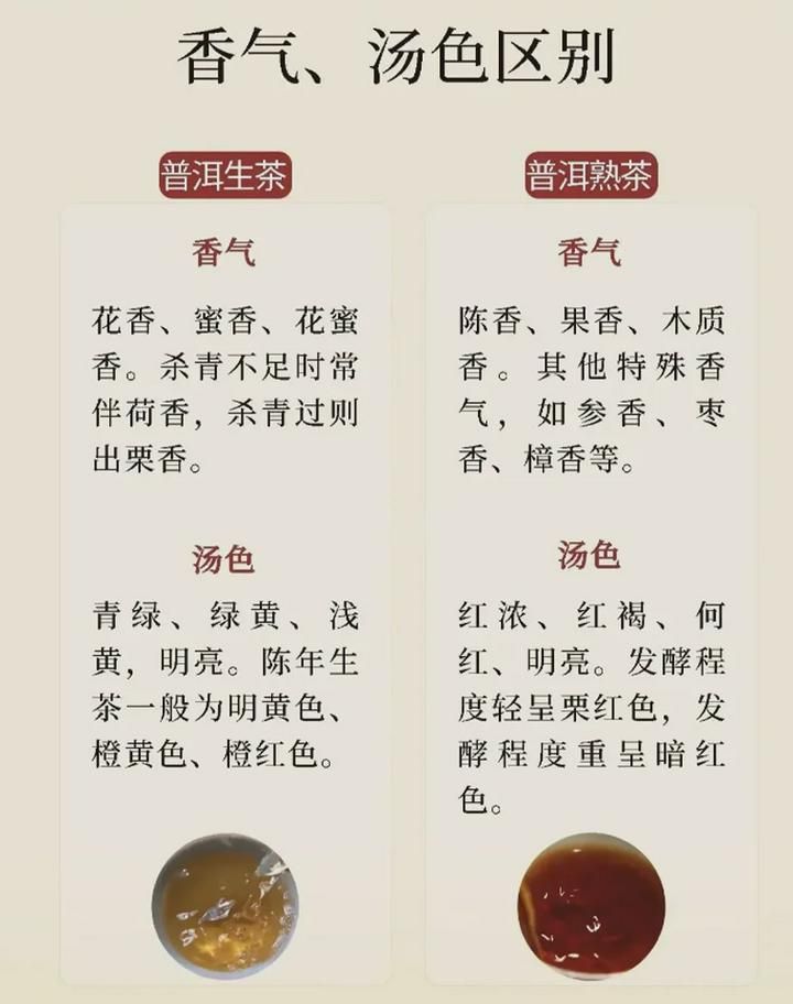 熟普洱的功效与作用 生普和熟普的区别?_熟普洱